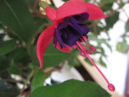 20110622 164337
